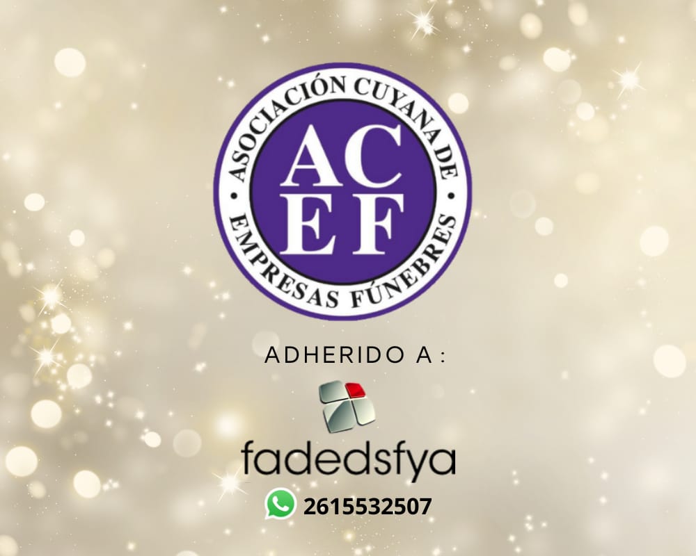 acef 1000x800px